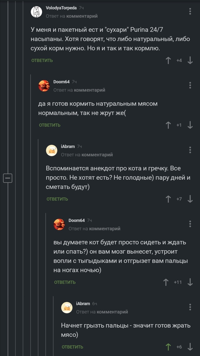 Когда кормить котиков
