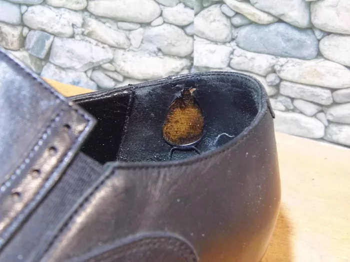 If your heel sags: how to change a hard heel - My, Shoe repair, Shoes, Longpost
