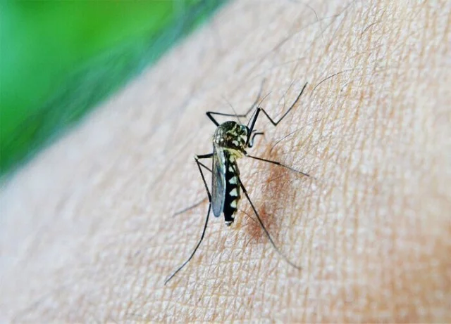 Несколько забавных фактов об Исландии, о которых не знает большинство людей Исландия, Страны, Познавательно, Факты, Длиннопост Несколько забавных фактов об Исландии, о которых не знает большинство людей Исландия, Страны, Познавательно, Факты, Длиннопост