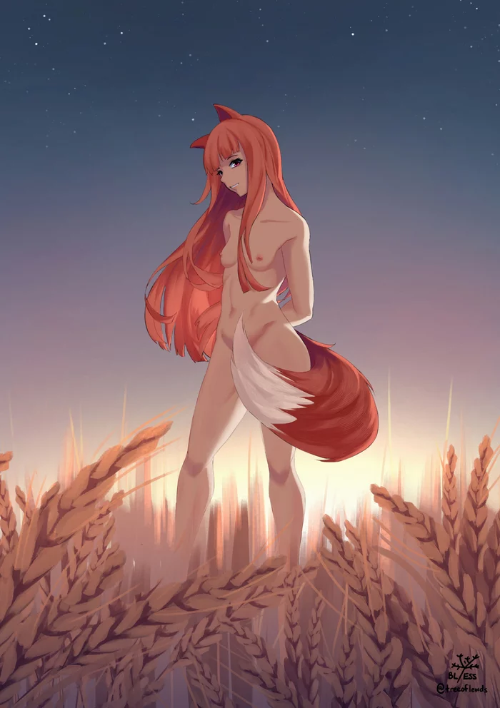 Богиня урожая - NSFW, Аниме, Spice and wolf, Holo, Anime Art, Animal Ears, Рисованная эротика