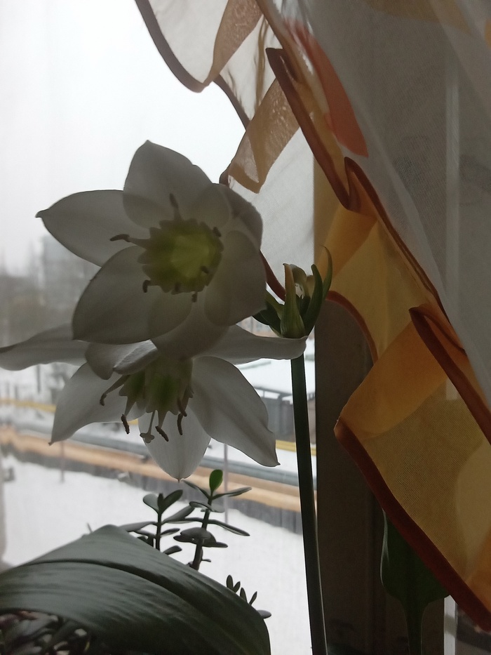 ��� ��� ����������?