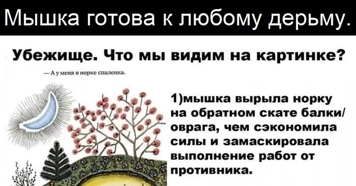 Будь как мышка картинка