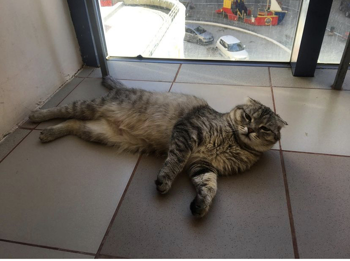 Поучиться бы у неё надменности