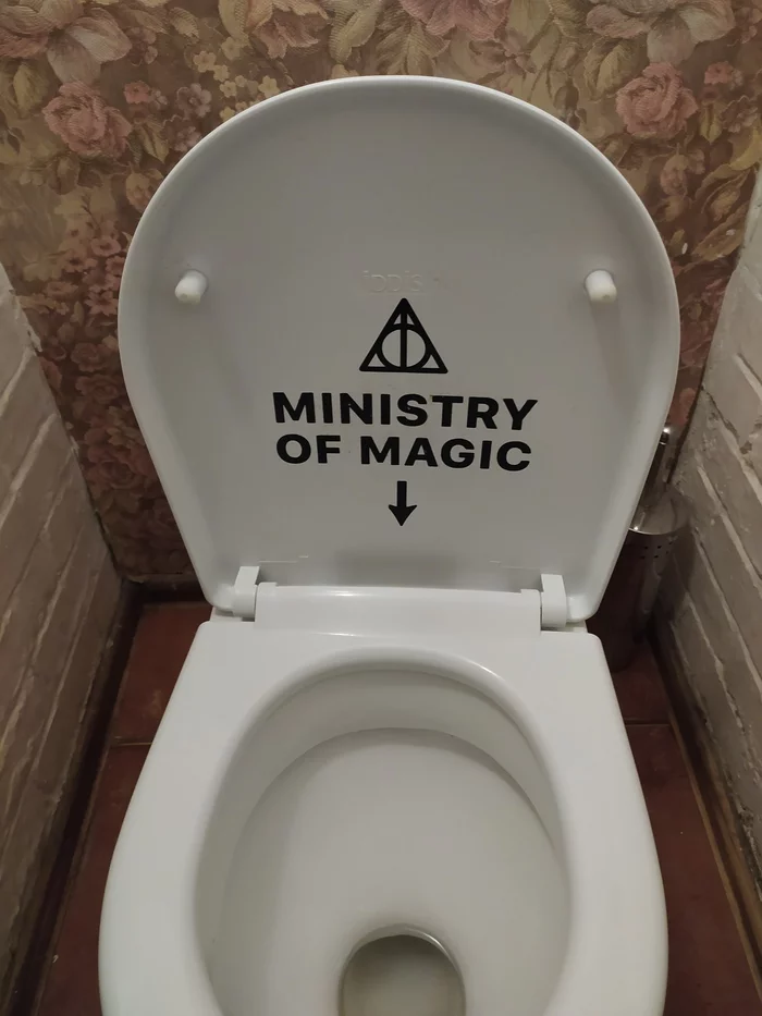 The portal is not working! - My, Crimea, Cafe, Harry Potter, Ministry of Magic, Toilet, Simferopol
