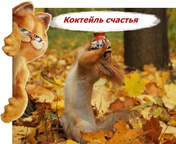 Коктейль счастья - Моё, Мат, Счастье, Коктейль, Длиннопост