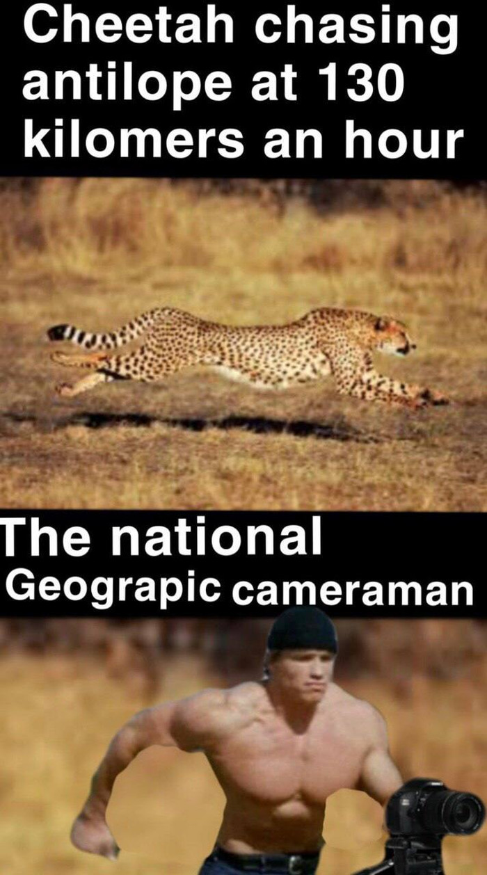    ,  , , , The National Geographic, , 