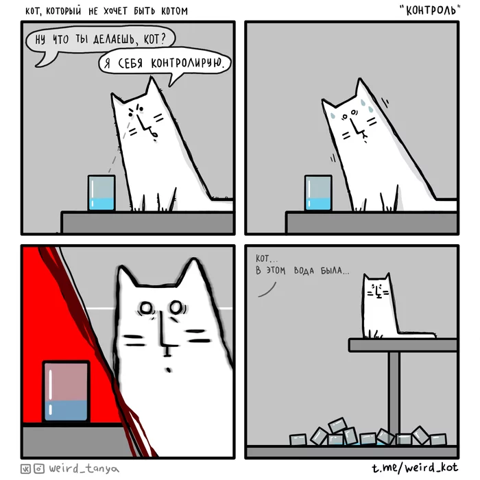 The cat who doesn't want to be a cat #37 Control - My, Weird_Tanya comics, Comics, Author's comic, cat, Humor, Web comic, Cup, Control