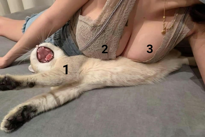       , , , , , , 