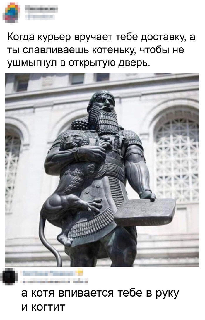 ��������� ����