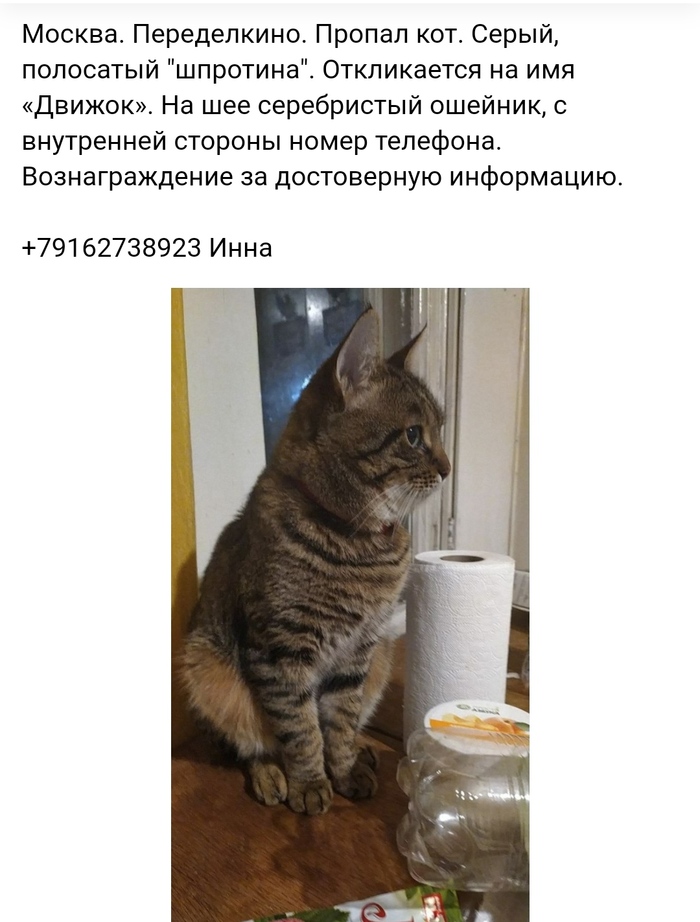    , ,  ,  , , 