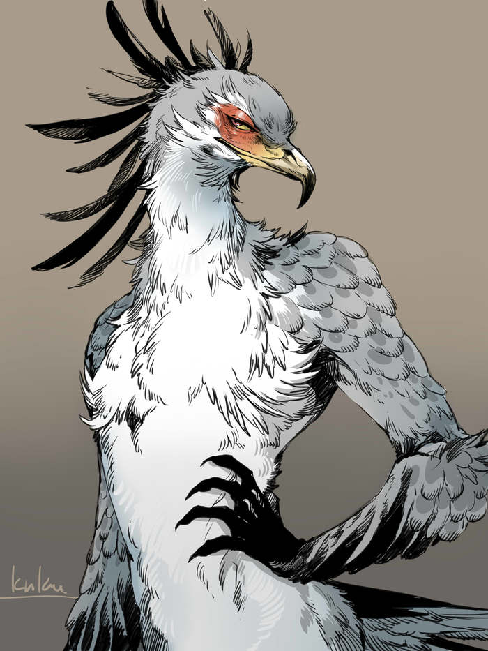  , Furry Art, Furry avian, -