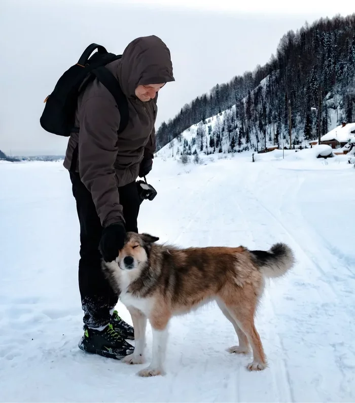 Just Miss Buck$ - My, Dog, Milota, Snow, Winter, Village, Ural, Perm Territory, Kindness, Smile, Dogs and people