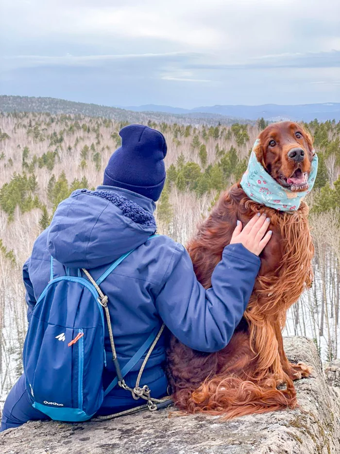 Walk to the Black Hill - My, Krasnoyarsk, Hiking, Dog, Longpost, The photo