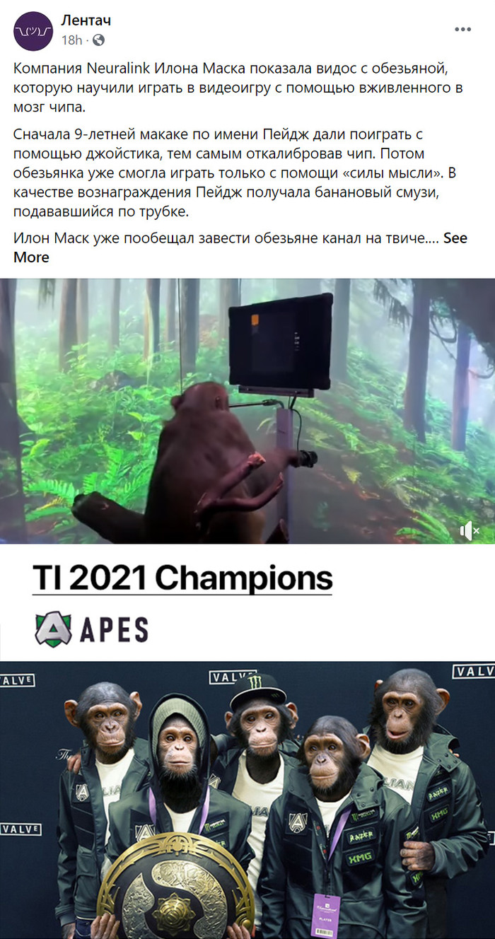 ,  Twitch      , Twitchtv, , , ,  , 