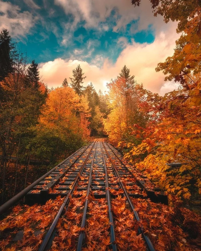 Vancouver, Canada - Vancouver, Canada, The photo, Autumn, Nature, Railway, beauty