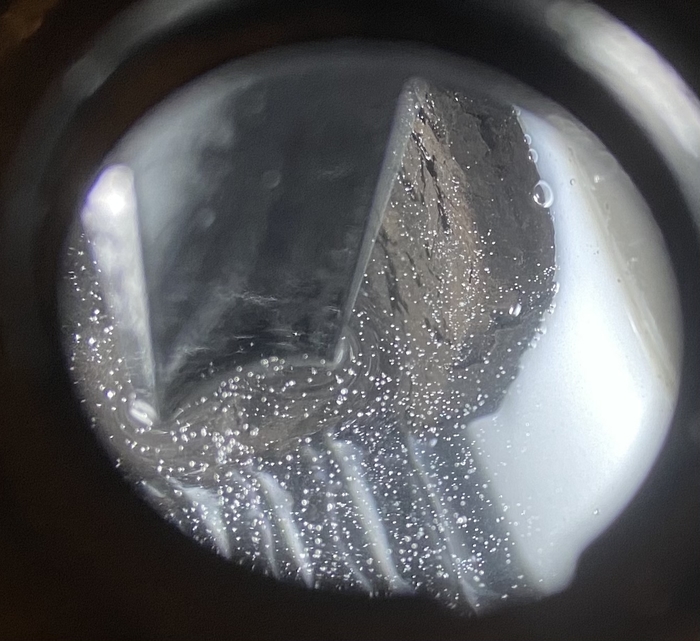 Прошу совет у лиги