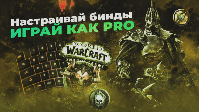   PRO -  ,     World of Warcraft World of Warcraft, Warcraft, MMORPG,  , ,  , 
