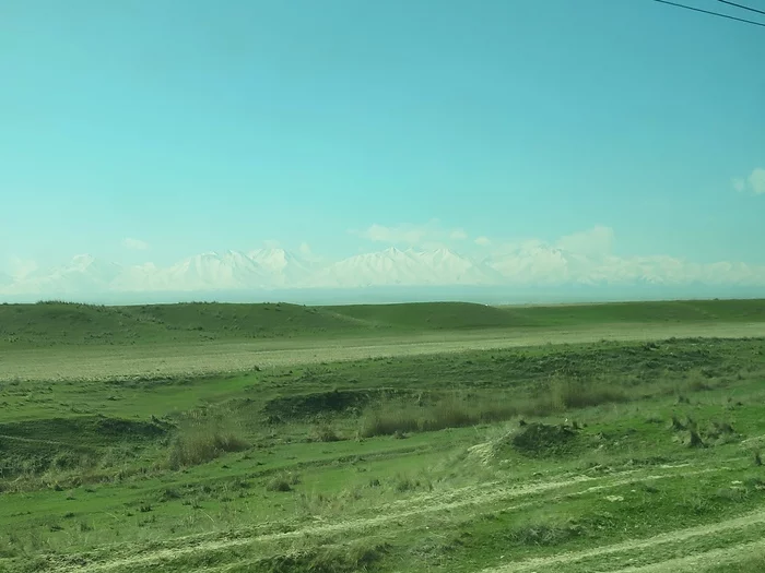 Trip from Taraz to Aktau - My, Nature, Landscape, Travels, Business trip, Longpost, Kazakhstan