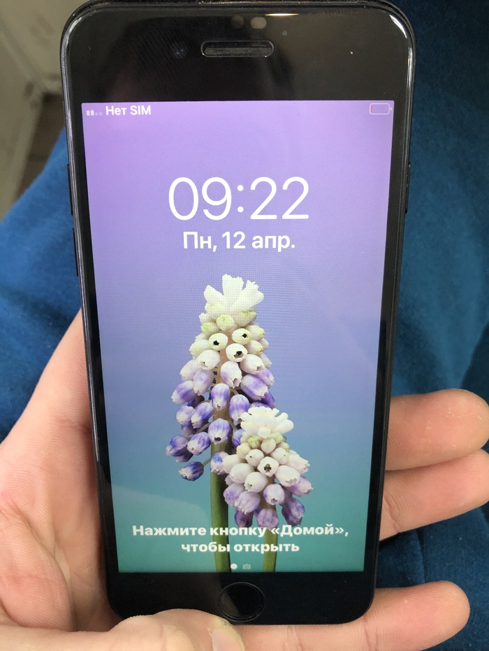 Iphone 7 нет прошивки модема