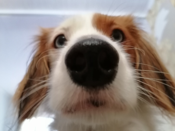 Наташ, ты спишь?