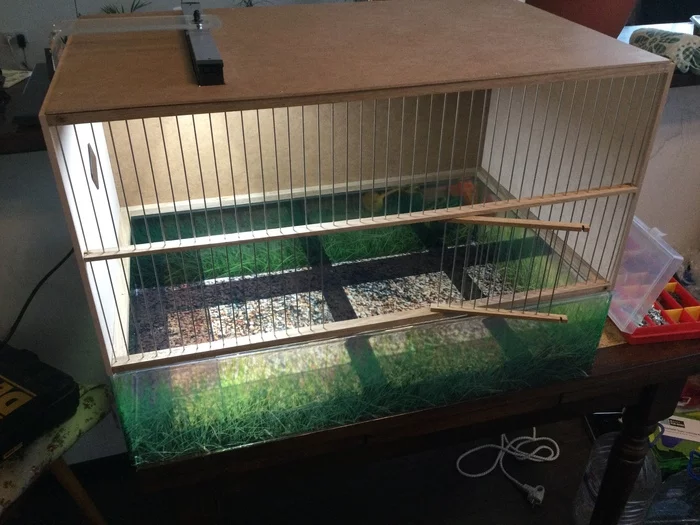Bird house - My, Songbirds, Cell, Longpost