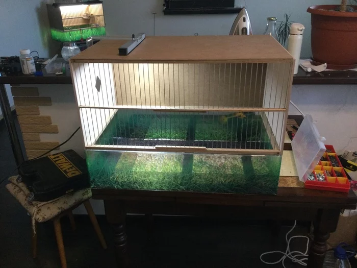 Bird house - My, Songbirds, Cell, Longpost