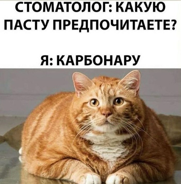     , , , ,  , 