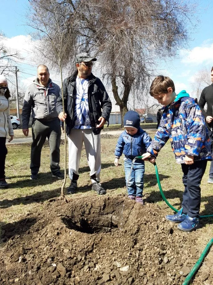 A minute of kindness - Kharkov, Ecology, Kindness, Landing, Tree, Peace, Landscaping, Longpost