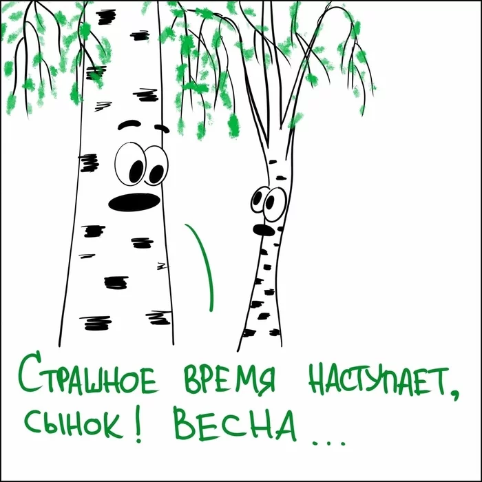 Birches and spring)) - Bezrukov, Birch, Spring, Song, Humor, Demotivator, In contact with, Longpost
