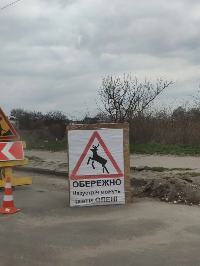 Дорожный знак в Белой Церкви - Моё, Юмор, Дорога, Дорожный знак