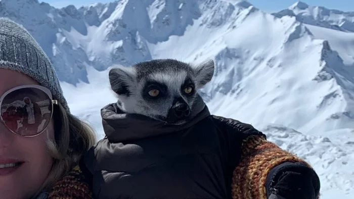 How we met the world's only Elbrus lemur and why he doesn't wear a hat - My, Drive, Life stories, The mountains, Tourism, Personal experience, Animals, Lemur, Leisure, Nature, Meeting, Longpost