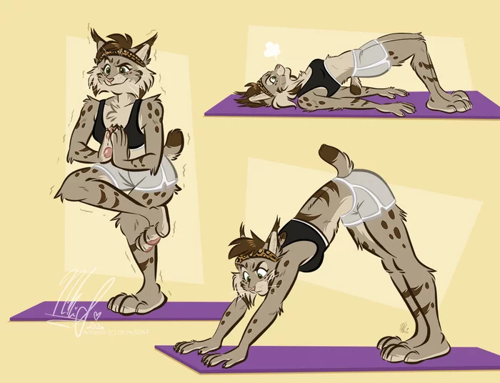 Yoga - Фурри, Антро, Арт, Furry Lynx, Nicnak044