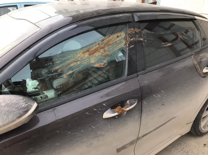 ростов меня к такому не готовила. Смотреть фото ростов меня к такому не готовила. Смотреть картинку ростов меня к такому не готовила. Картинка про ростов меня к такому не готовила. Фото ростов меня к такому не готовила ростов меня к такому не готовила. Смотреть фото ростов меня к такому не готовила. Смотреть картинку ростов меня к такому не готовила. Картинка про ростов меня к такому не готовила. Фото ростов меня к такому не готовила