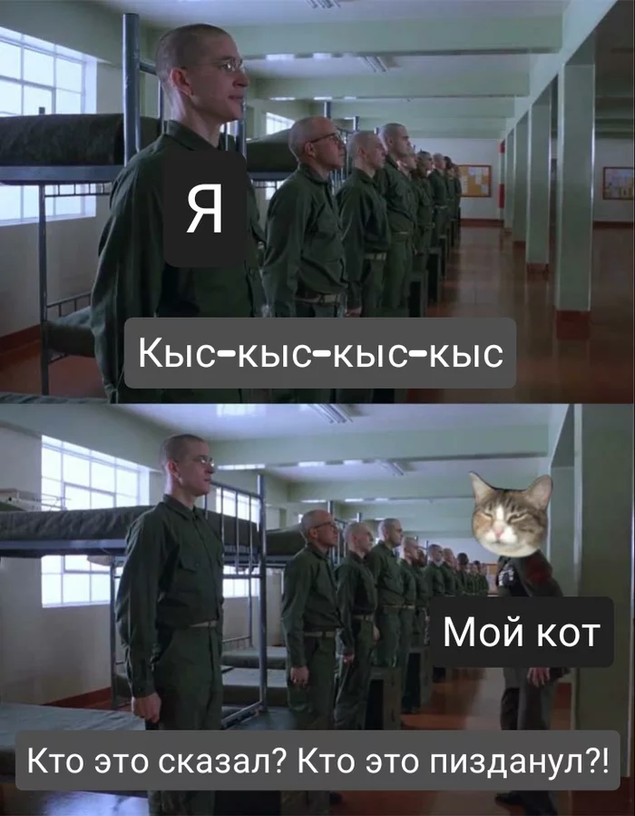 Full Metal Cat - Full Metal Jacket, cat, KYS-KYS, Mat, Picture with text, Humor