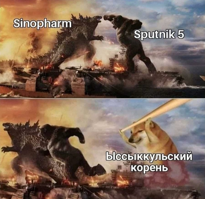 Делаем прививки в мексике