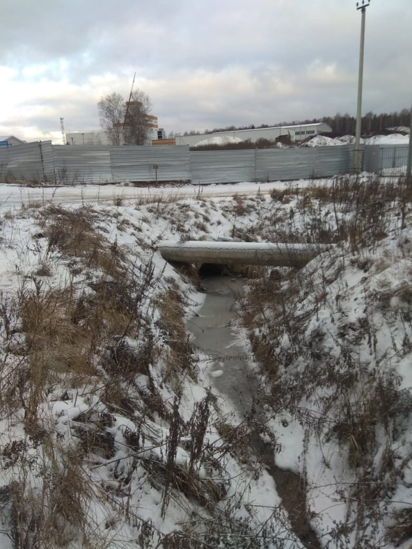 We are being poisoned on the sly - My, Long, Negative, Ecology, River, Ashukino, Sofrino, Inaction, Подмосковье, Moscow region, Pushkinsky district, Longpost