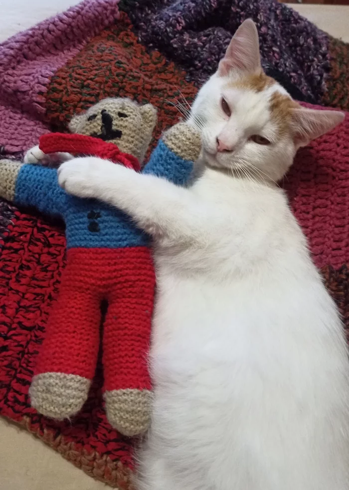 Lover - My, cat, Milota, Pets, The photo, Knitted toys