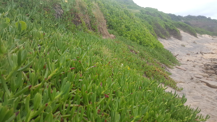 ����������� ��� � �����