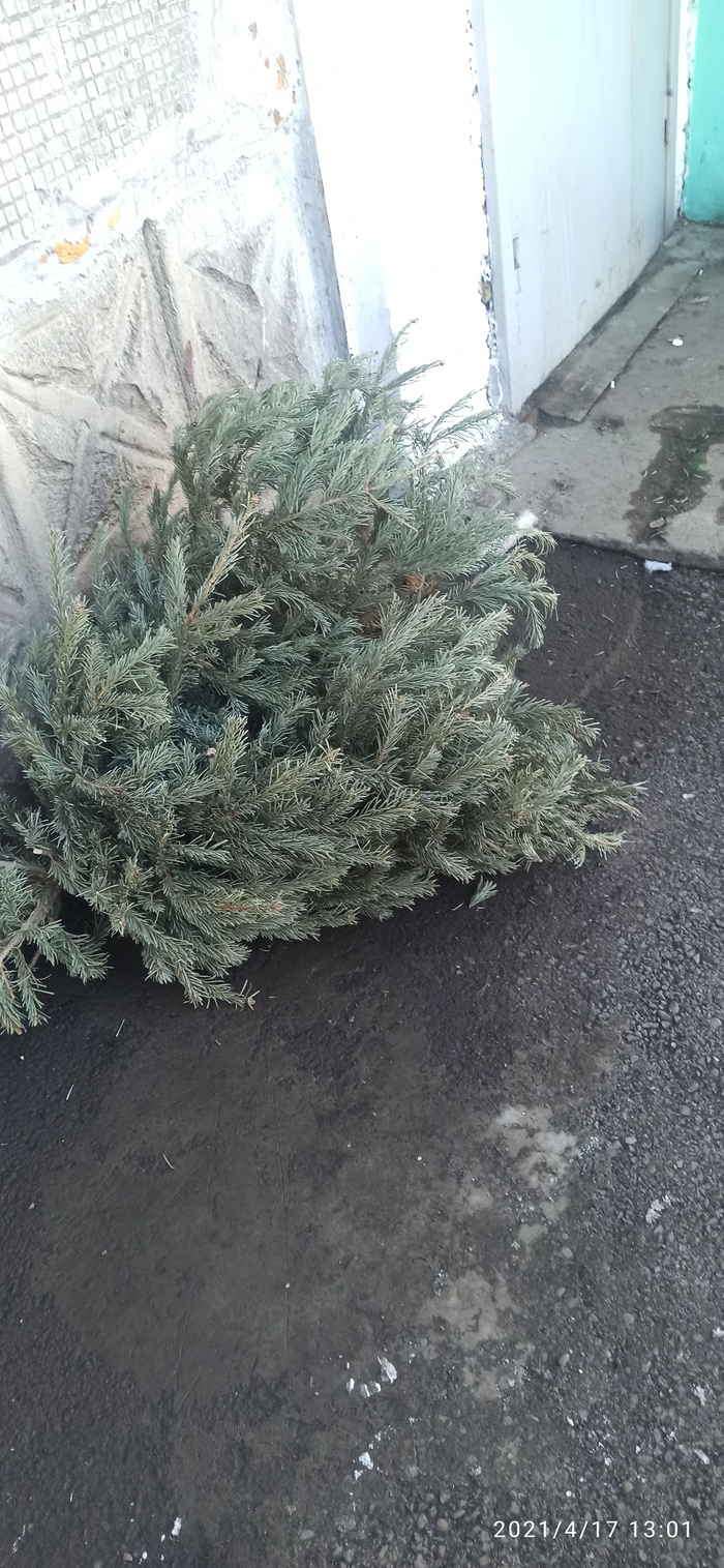 ����� ������