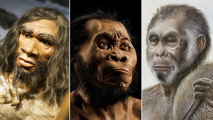 Evolution of the human brain - Story, Archeology, Primitive people, The science, Evolution, Copy-paste, Longpost