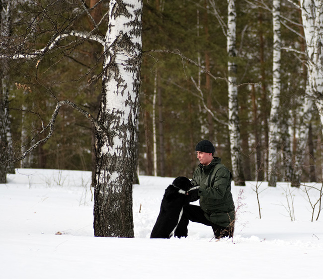 Memories of a friend - My, Dog, Memory, The photo, Longpost, Death, Pets