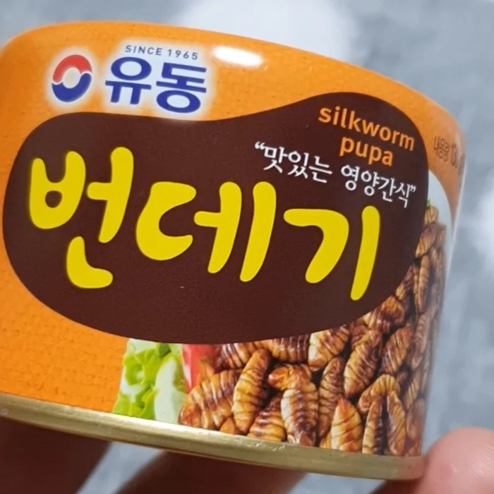 Pontegi, boiled silkworm larvae - My, Larva, Delicacy, Корея, Longpost
