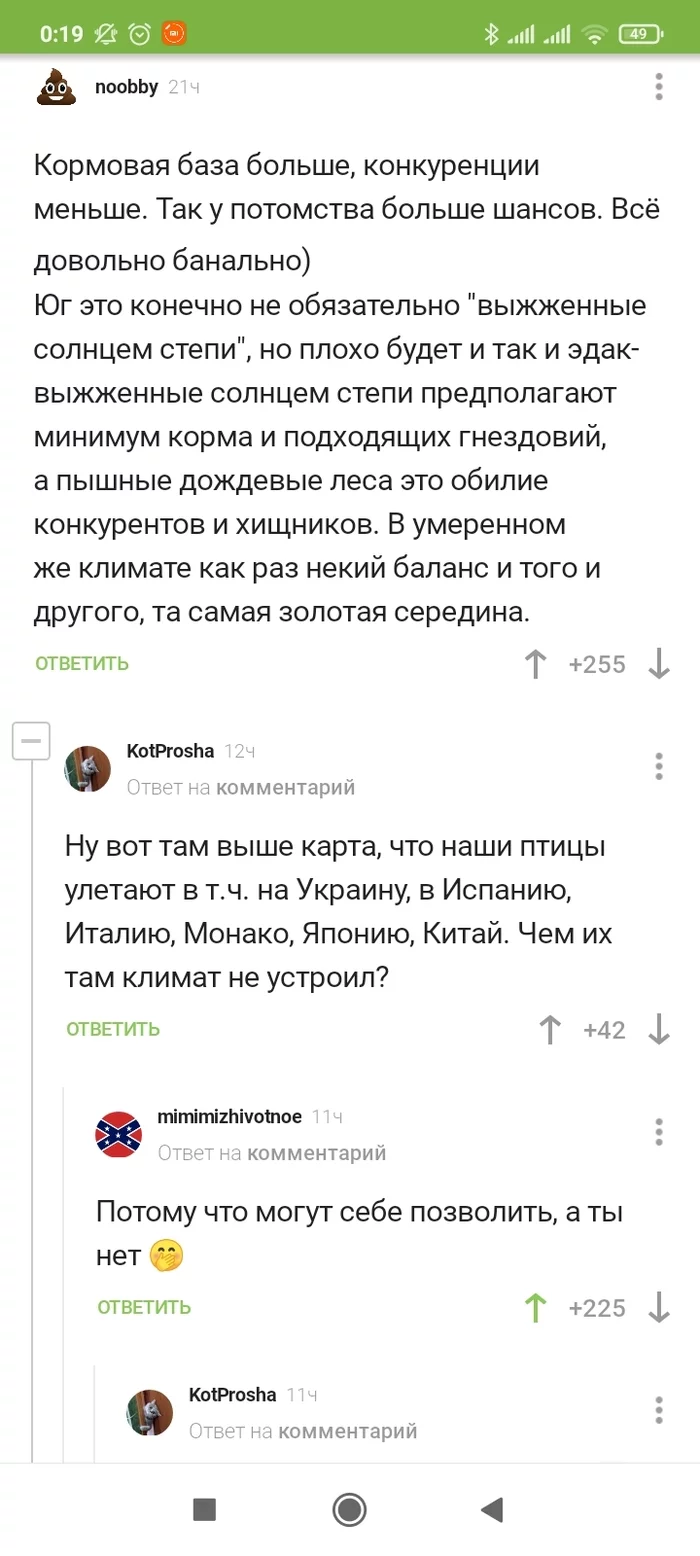 Обидно - Птицы, Миграция, Комментарии, Длиннопост, Комментарии на Пикабу, Скриншот