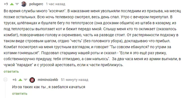 Их всегда двое - Армия, Истории из жизни, Комментарии, Скриншот, Комментарии на Пикабу