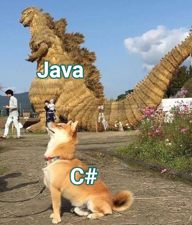  -  Java, IT, IT , 