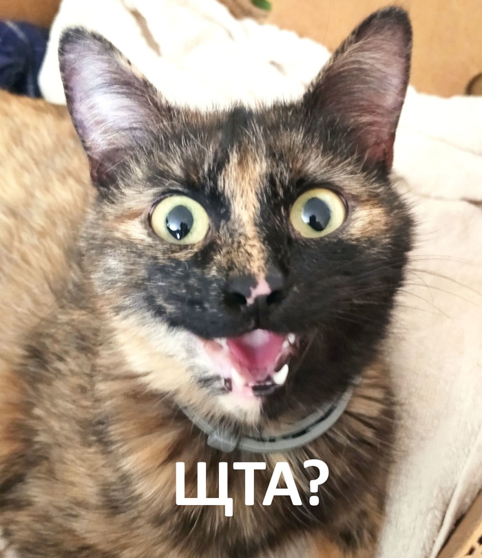   ?  , ?, 
