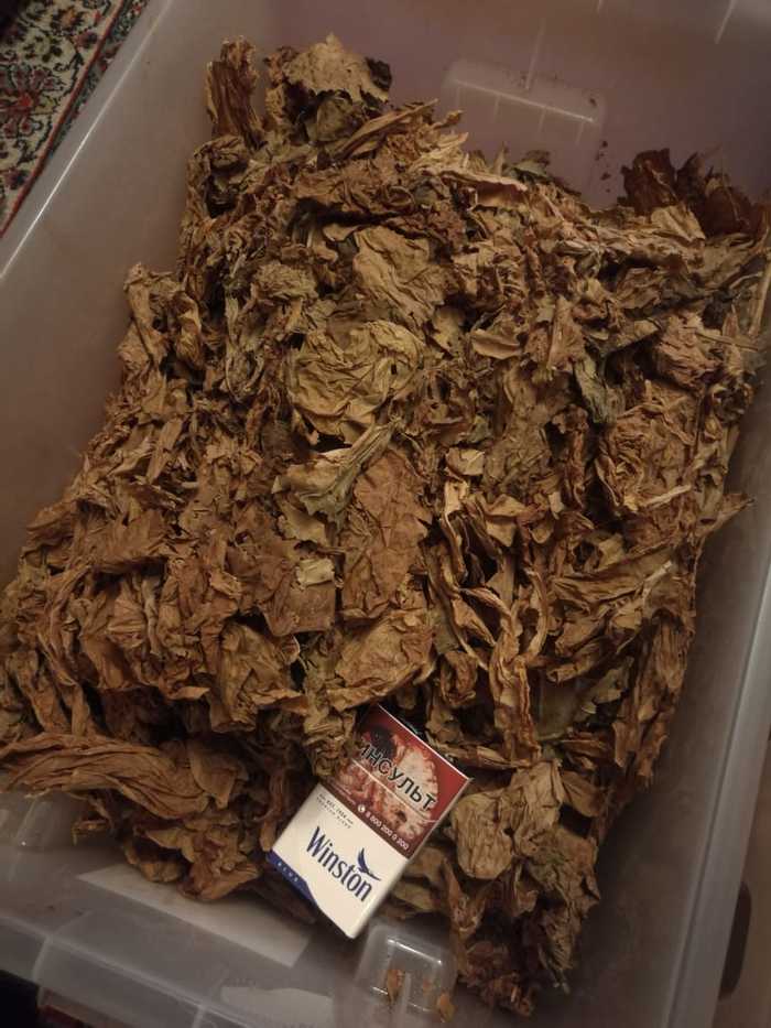 I'll give away tobacco (Ekaterinburg) - My, No rating, Is free, Longpost