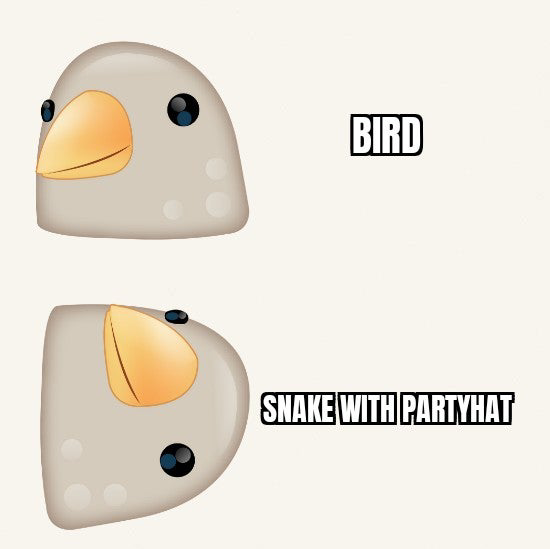 ���� �� ���������