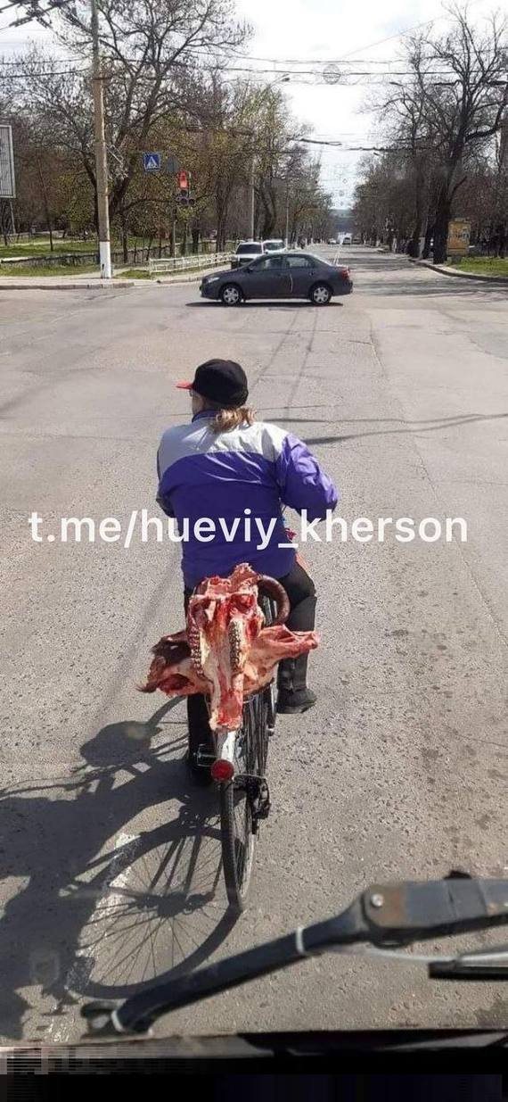 Что здесь происходит?