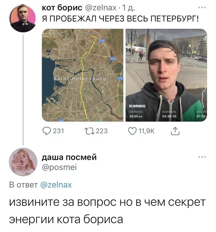 What is the secret of Boris the cat's energy? - Boris the cat, Twitter, Saint Petersburg, Screenshot, Mileage, Humor, Run, Jogging